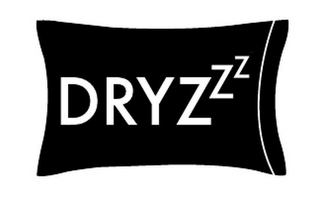 DRYZZZ logo