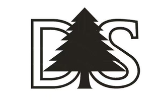 DS logo