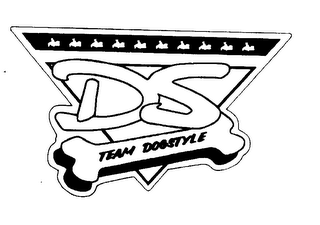 DS logo