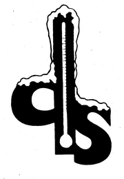 DS logo