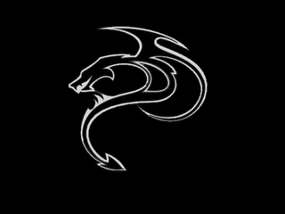 DS logo
