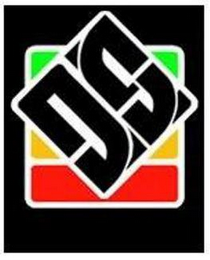 DS logo
