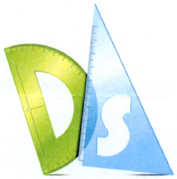 DS logo