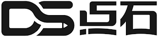 DS logo