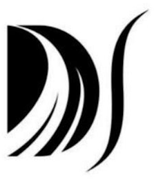 DS logo