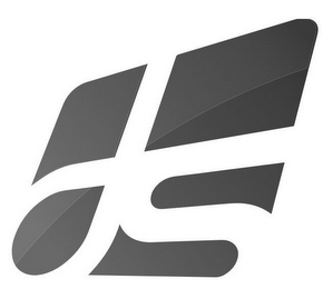DS logo