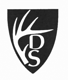 DS logo