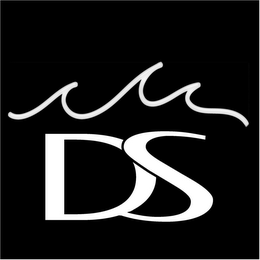 DS logo