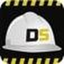 DS logo