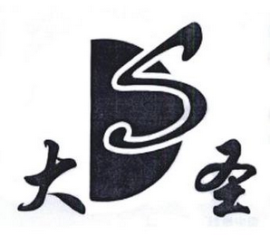 DS logo