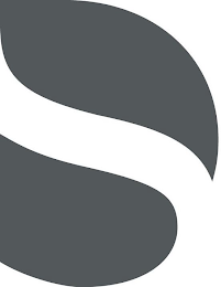 DS logo