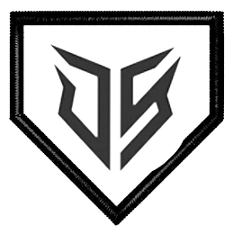DS logo
