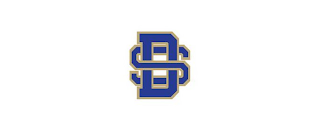 DS logo
