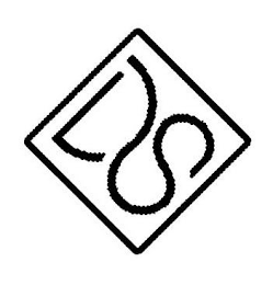 DS logo
