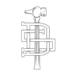 DS logo