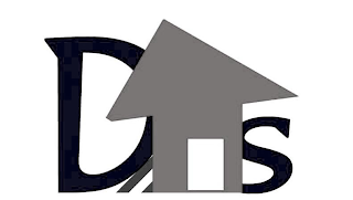 DS logo