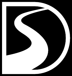 DS logo