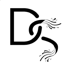DS logo