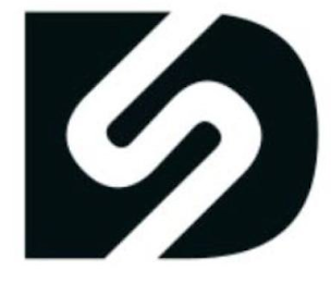 DS logo