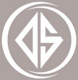 DS logo