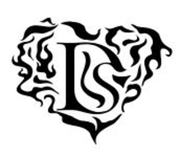 DS logo