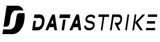 DS DATASTRIKE logo