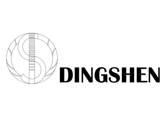 DS DINGSHEN logo