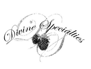 DS DIVINE SPECIALTIES logo
