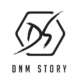 DS DNM STORY logo