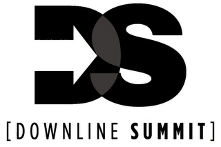 DS [DOWNLINE SUMMIT] logo