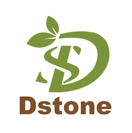 DS DSTONE logo