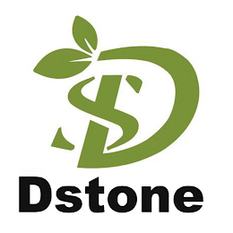 DS DSTONE logo