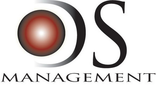 DS MANAGEMENT logo