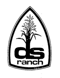DS RANCH logo