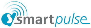 DS SMARTPULSE logo