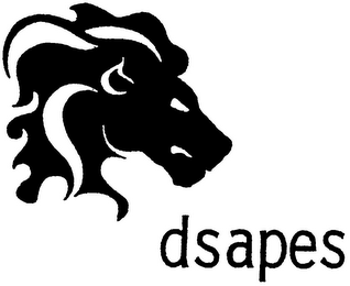 DSAPES logo