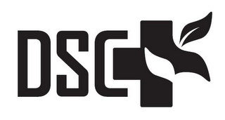 DSC logo