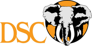 DSC logo