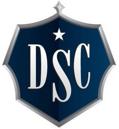DSC logo