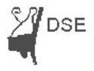 DSE logo