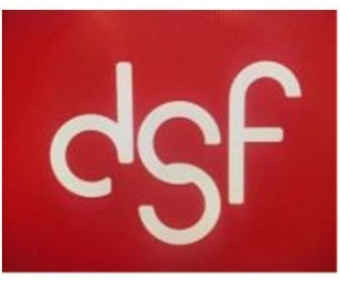 DSF logo