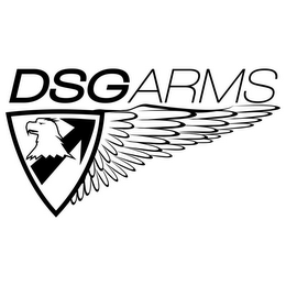 DSG ARMS logo