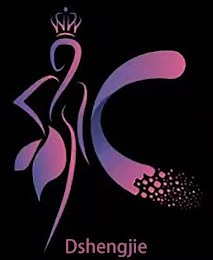 DSHENGJIE logo