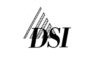 DSI logo