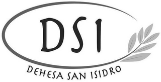 DSI DEHESA SAN ISIDRO logo