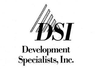 DSI DEVELOPMENT SPECIALISTS, INC. logo