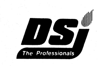 DSI THE PROFESSIONALS logo