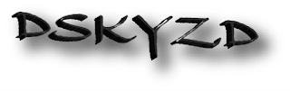 DSKYZD logo