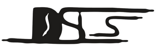 DSLS logo