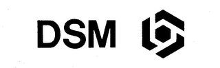 DSM logo